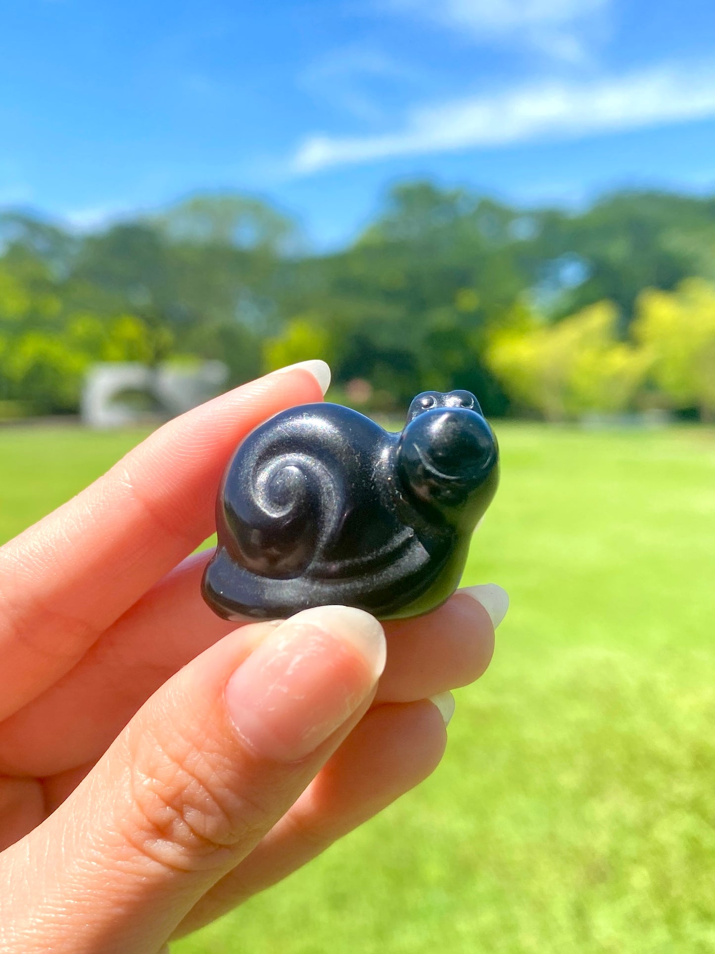 Black Obsidian Snail